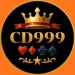 CD999 Game